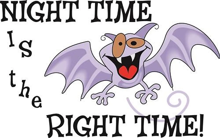 Owl Night Time