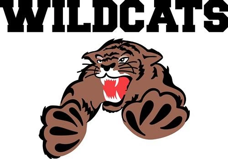 WILDCATS