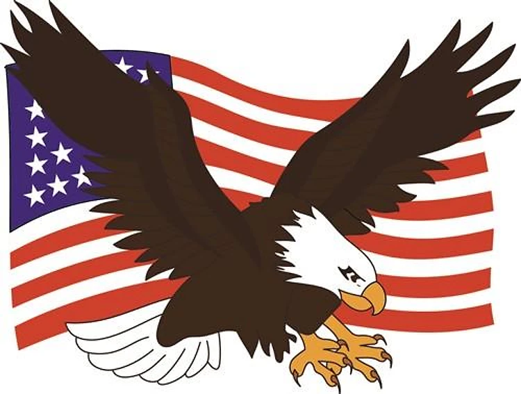 AMERICAN EAGLE FLAG