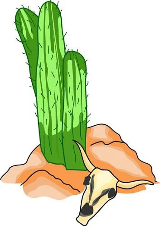 DESERT CACTUS