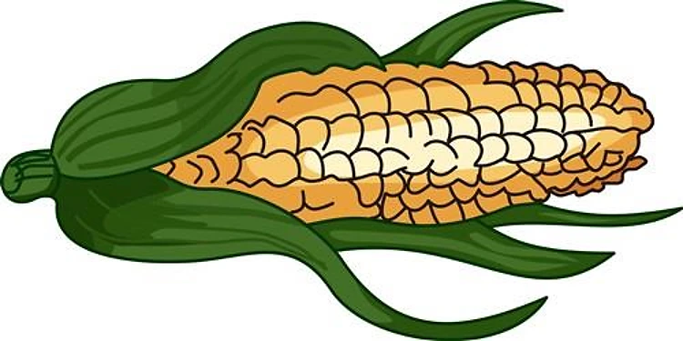 CORN