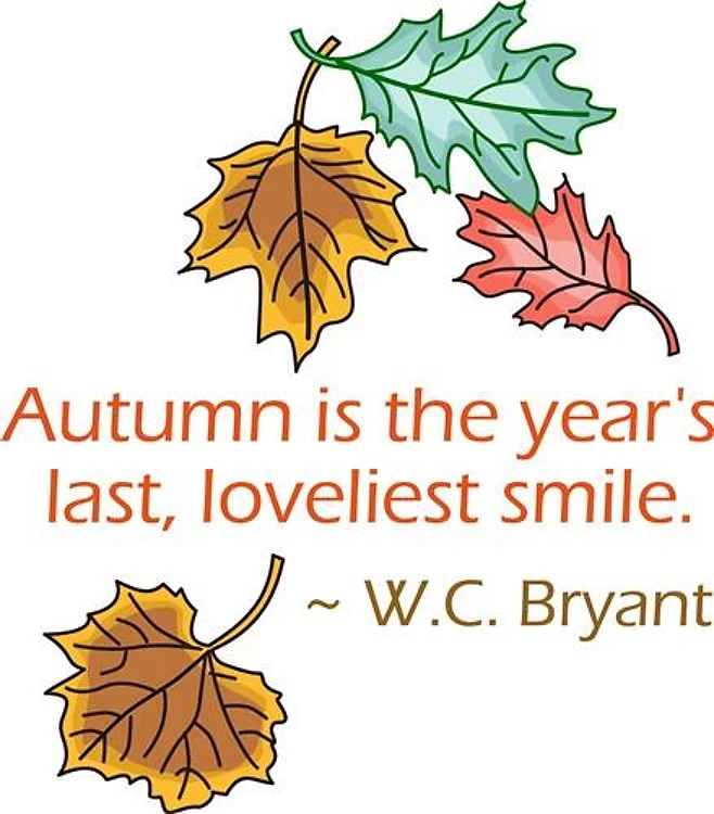 AUTUMN....