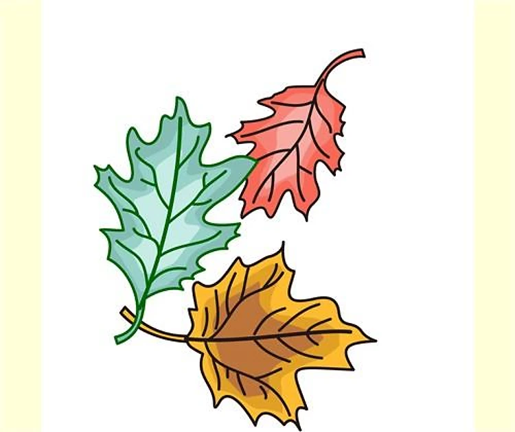 FALL LEAVES