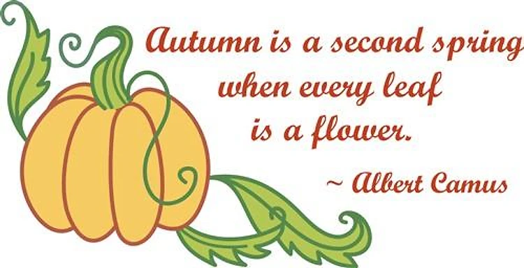 AUTUMN....