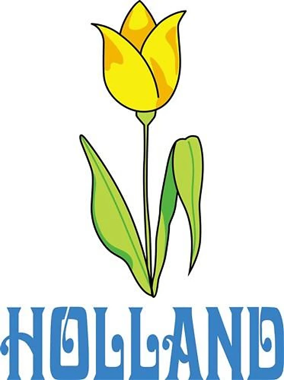 HOLLAND TULIP