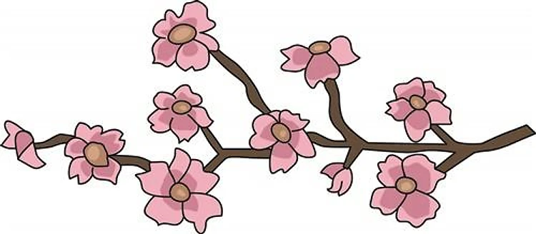 CHERRY BLOSSOM