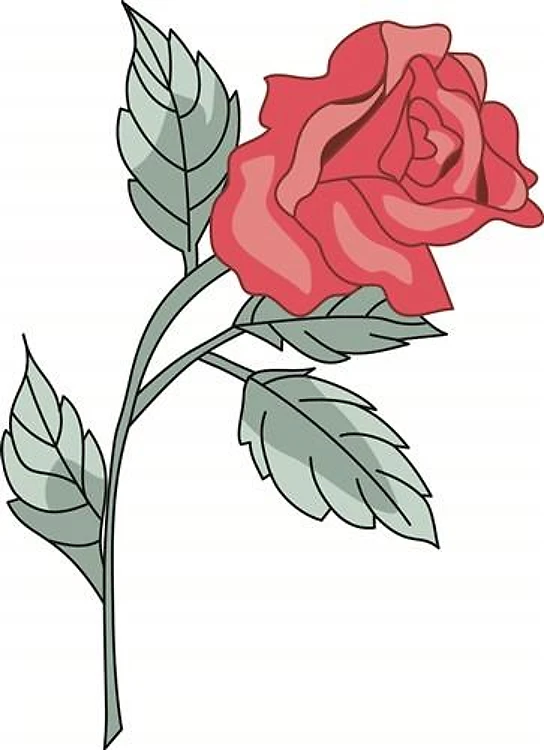 RED ROSE