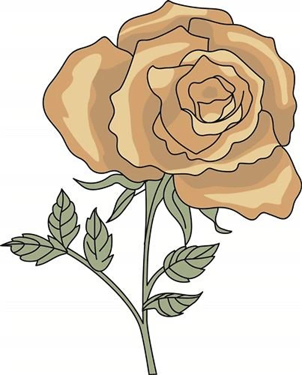 YELLOW ROSE