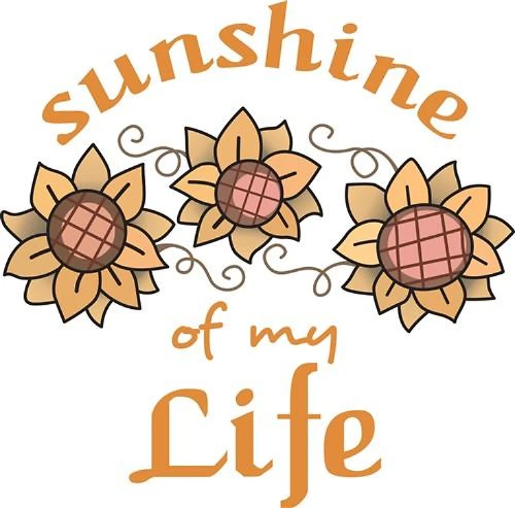 SUNSHINE OF MY LIFE