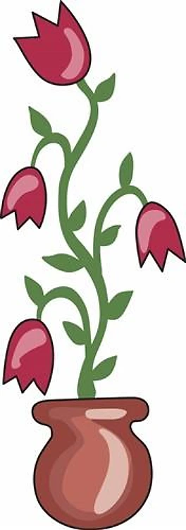 POTTED PLANT