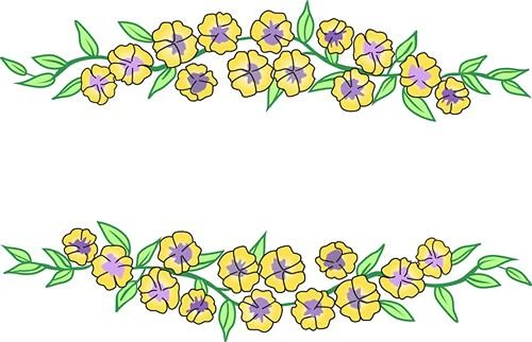 PANSY BORDER