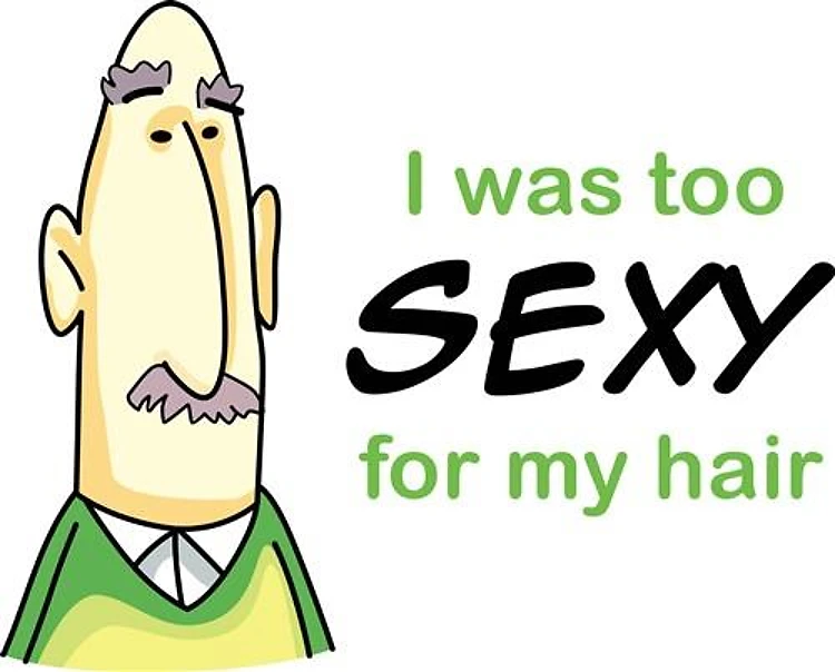 TOO SEXY FOR HAIR