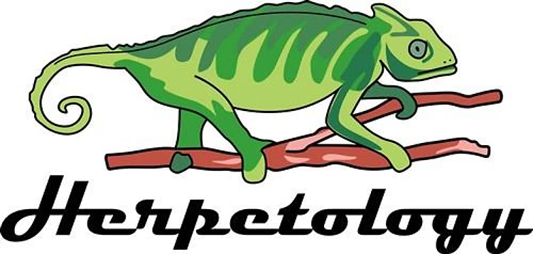 HERPETOLOGY