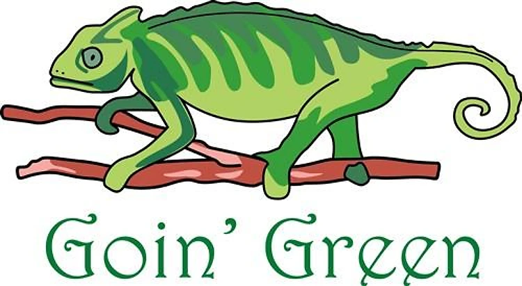 GOIN GREEN LIZARD