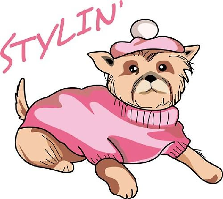 STYLIN DOG