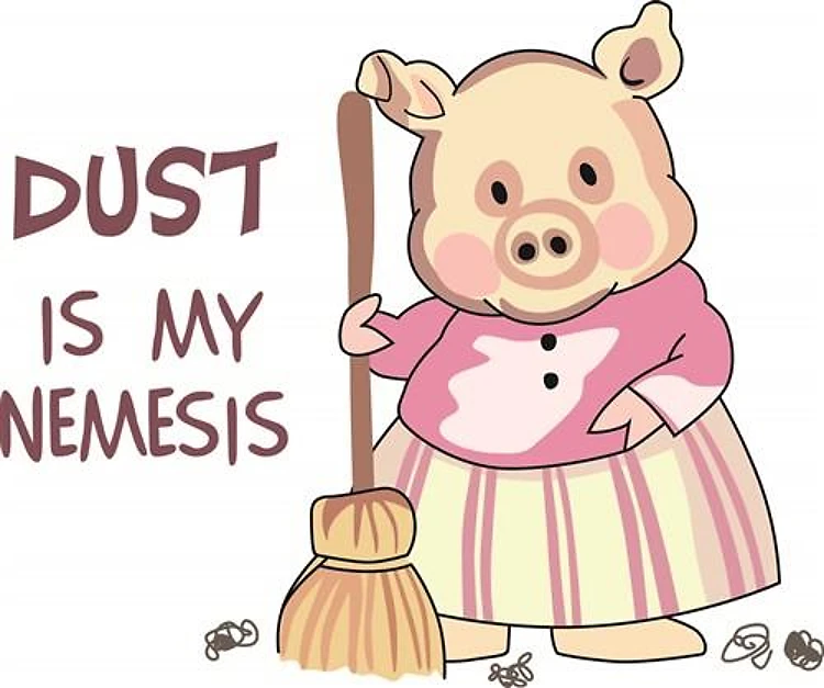 DUST IS MY NEMESIS