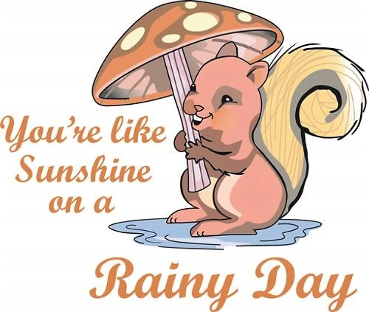 A RAINY DAY