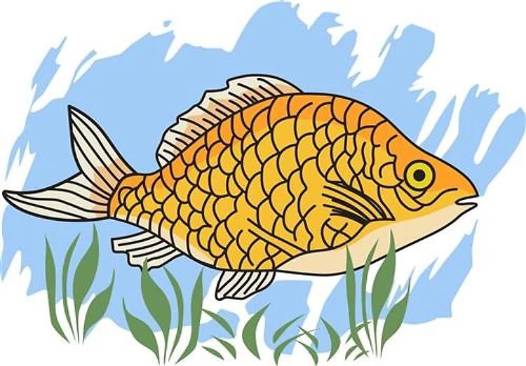 FISH IN WATER