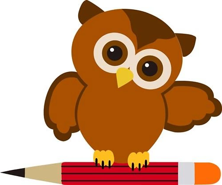 Owl With Pencil