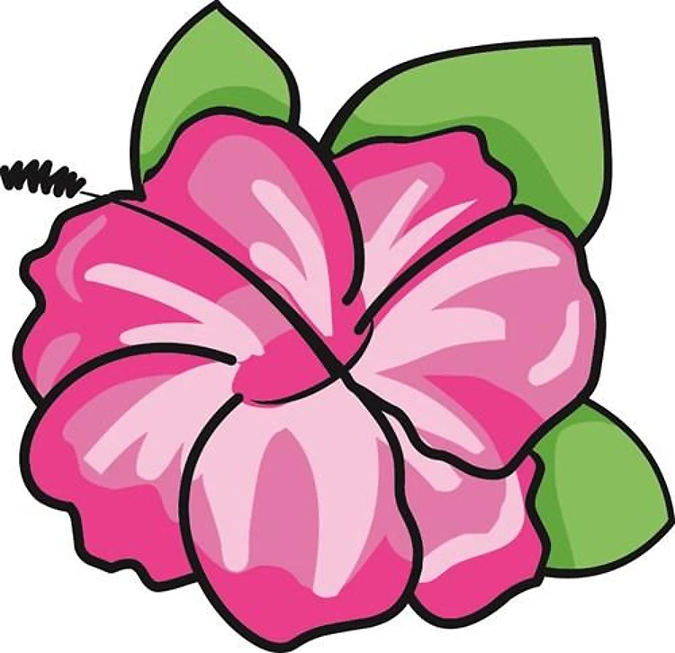 Hibiscus Flower