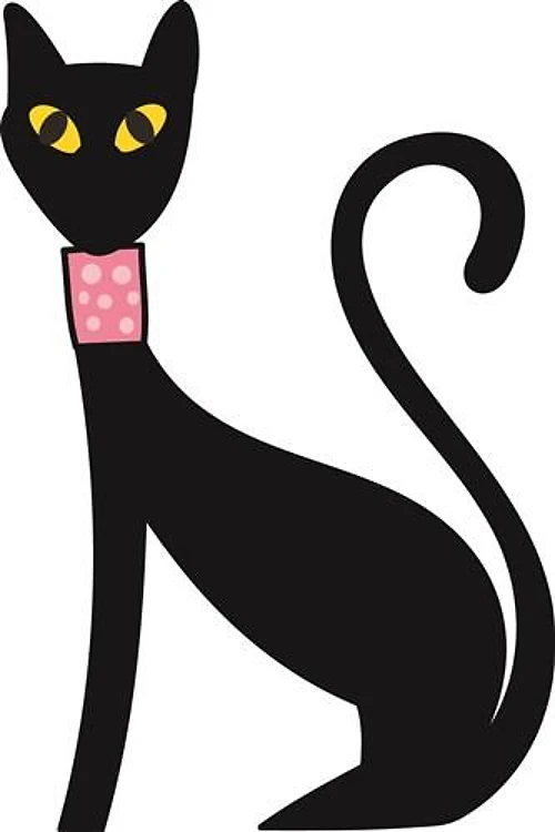 Black Cat