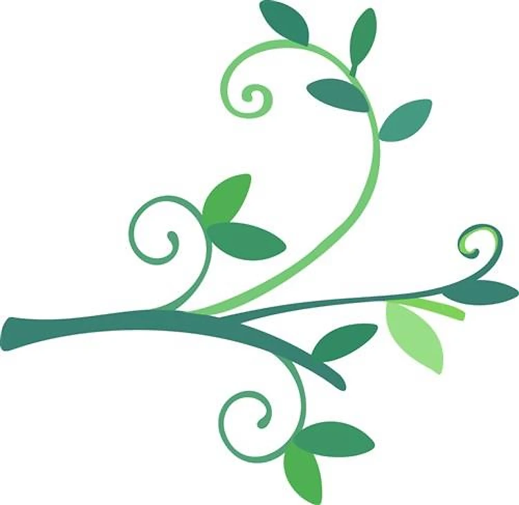 Leafy Branch