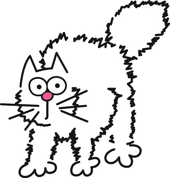 SCAREDY CAT