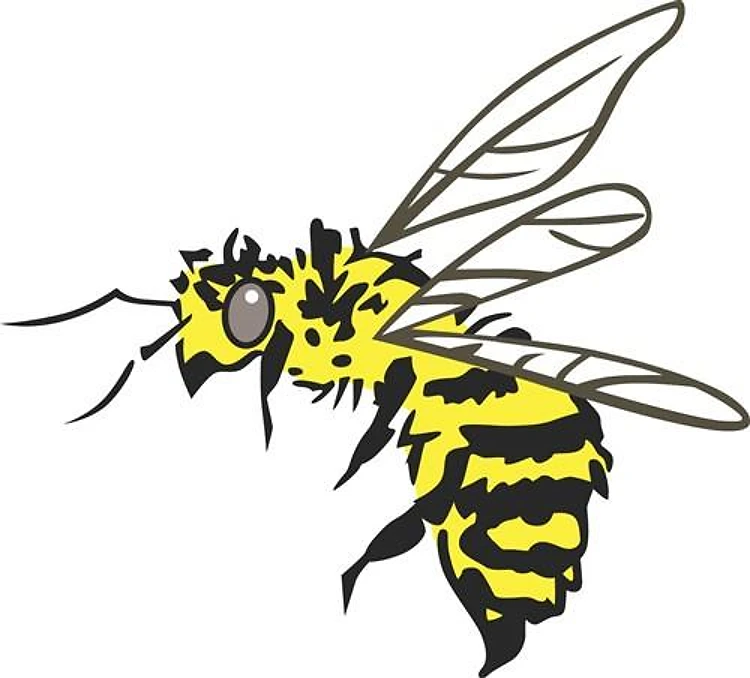 Bumble Bee