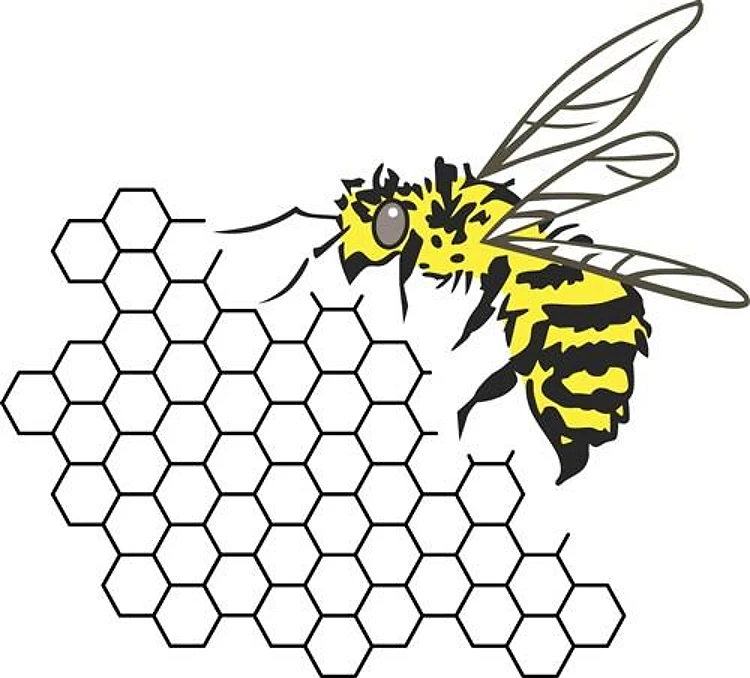 Bee Honeycomb