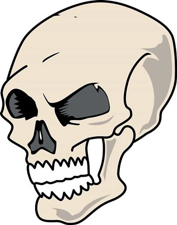 Plain Skull