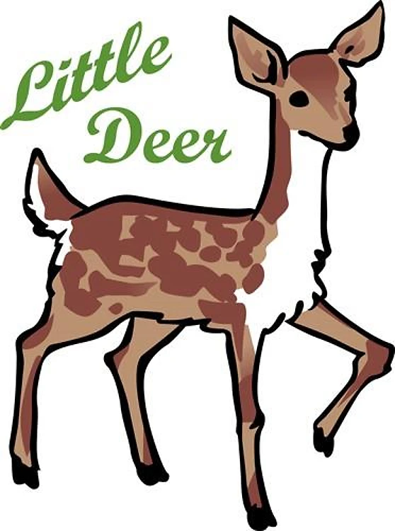 Little Deer
