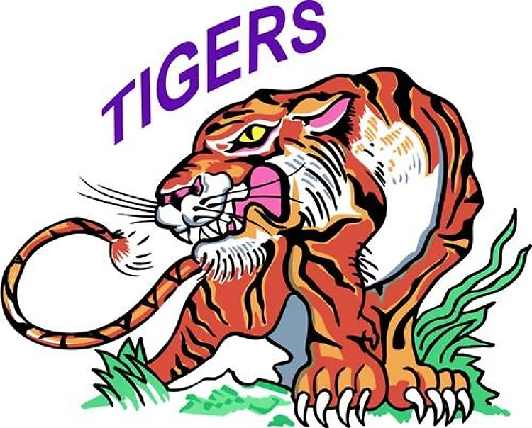 Team Tigers