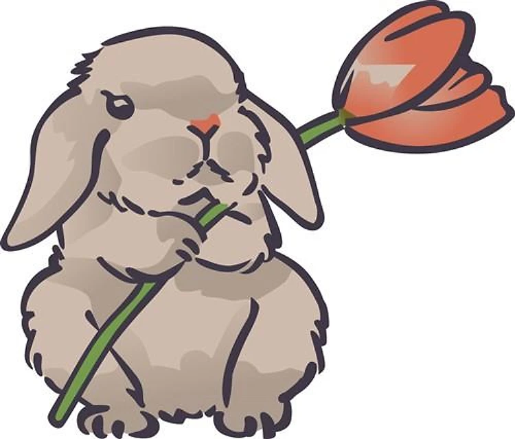 Bunny With Tulip