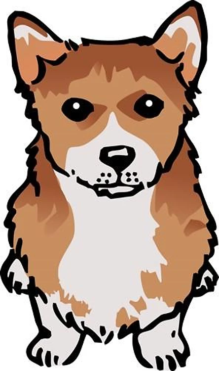 Pembroke Welsh Corgi