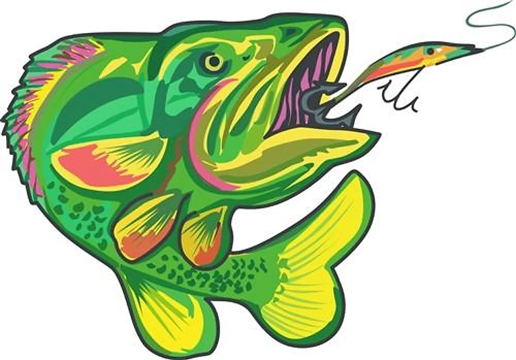 Largemouth Bass