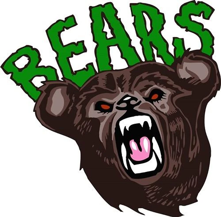 Bears Team