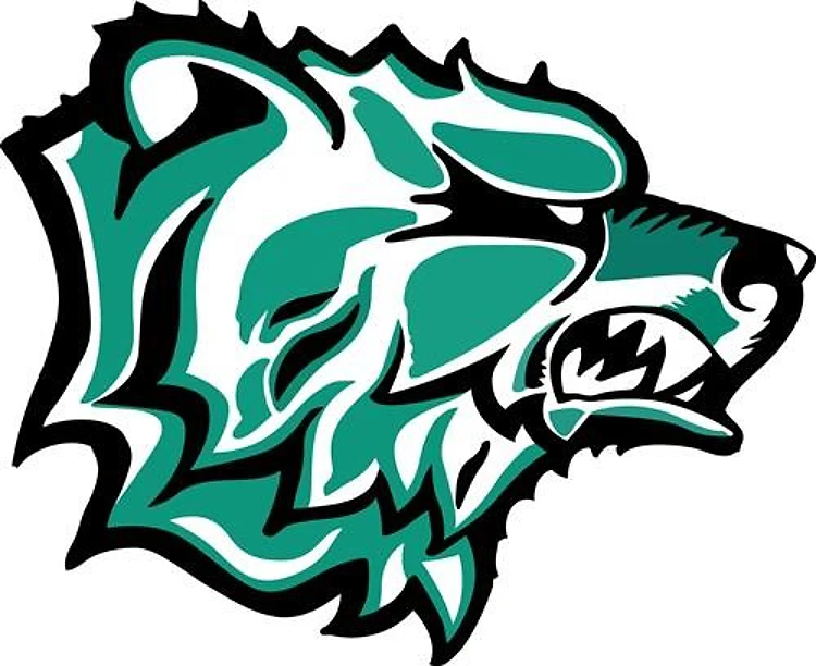 Bear Mascot
