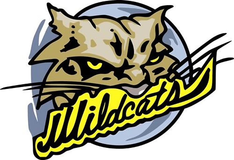 Wildcat Mascot