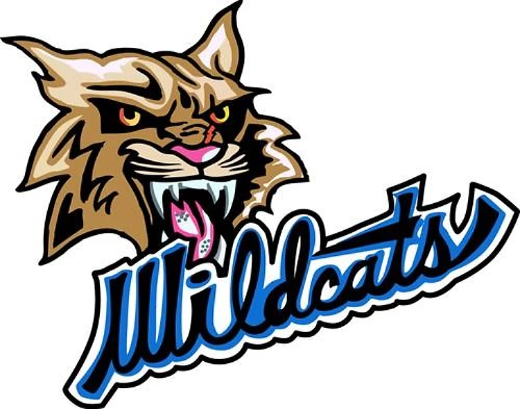Large Wildcat Mascot