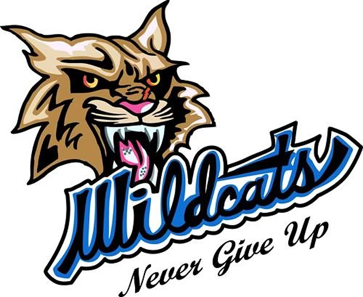 Wildcats Never Give Up