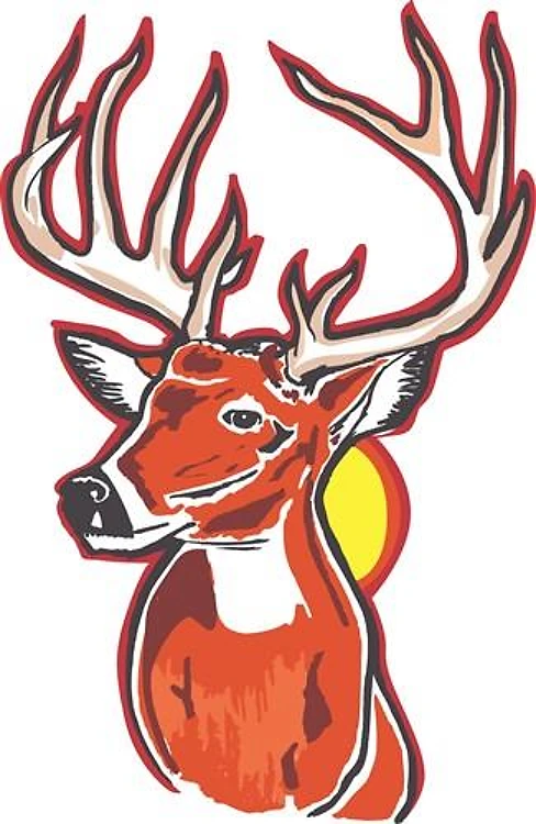 Whitetail Buck