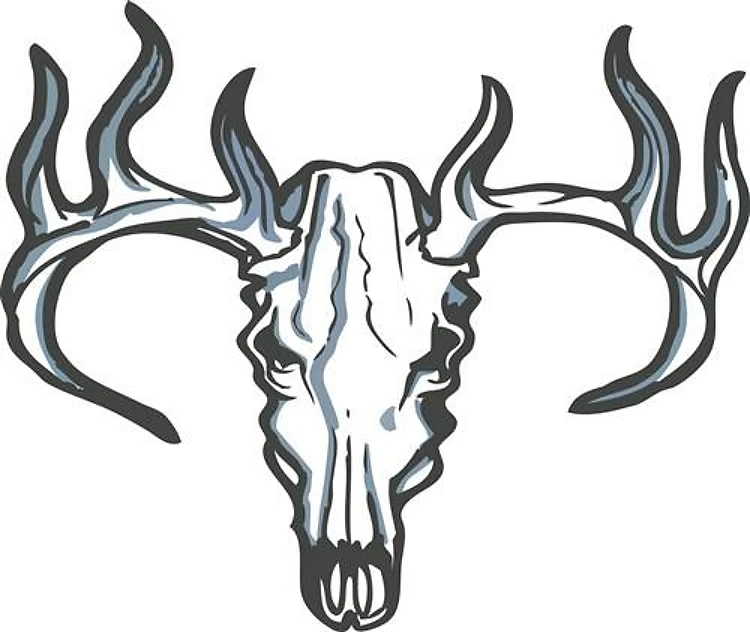 Deer Skull