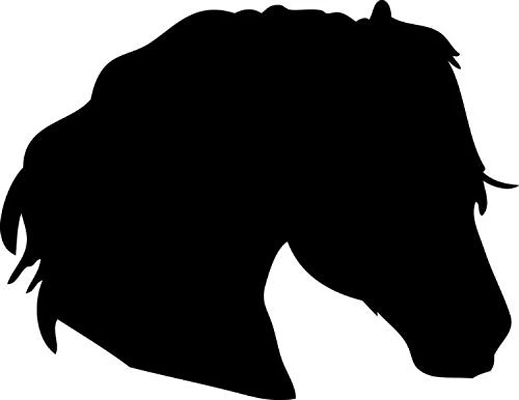 Small Horse Head