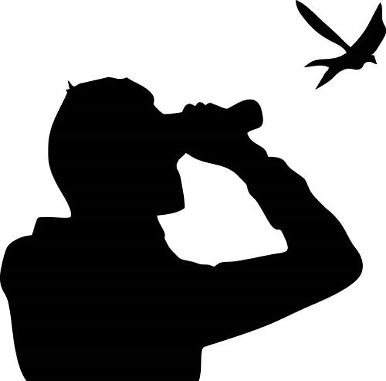Birdwatcher
