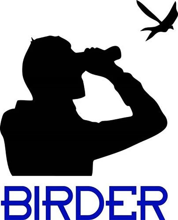 Birder