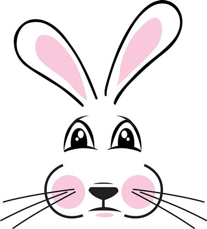 Bunny Face