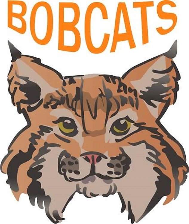 Bobcats Team