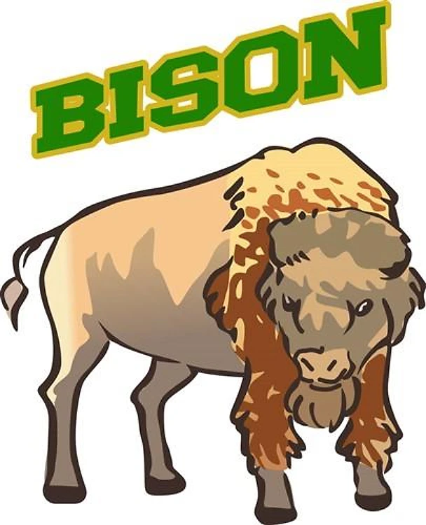 Bison