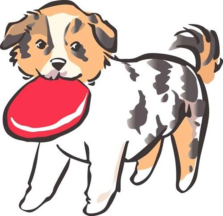 Disc Dog