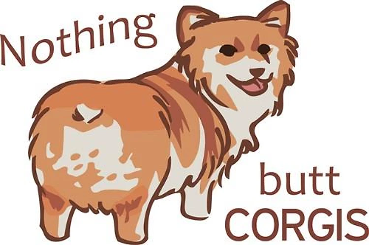 Nothing Butt Corgis